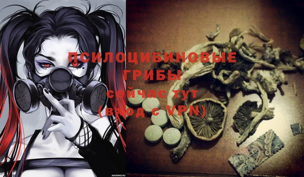 дживик Баксан