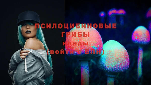 дживик Баксан