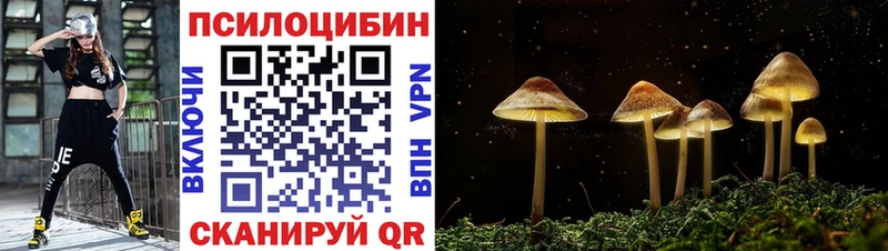 Галлюциногенные грибы Magic Shrooms  Купить закладки  Андреаполь 