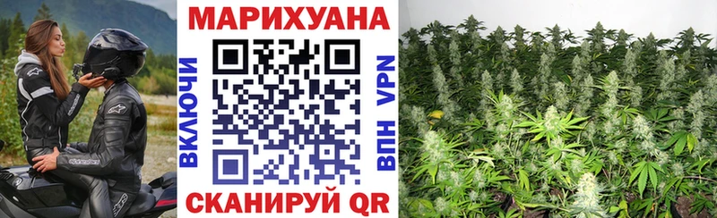 Канабис гибрид Андреаполь